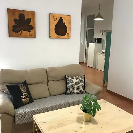 Apartment Apartamento Las Americas *